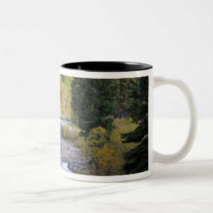 Provo-Fluss und Espen Zweifarbige Tasse