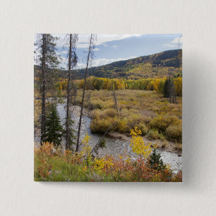Provo River und Espen Button