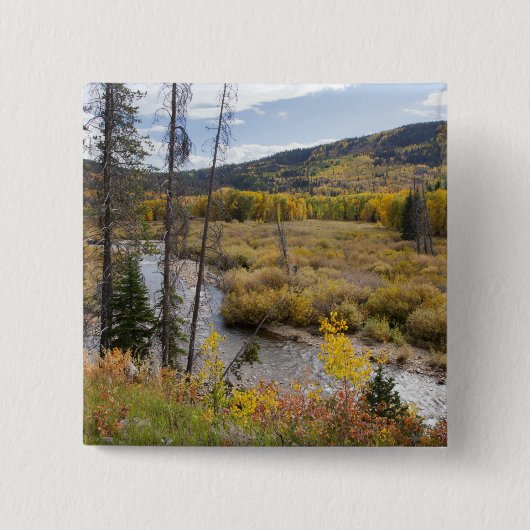 Provo River und Espen Button (Vorderseite)