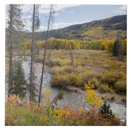 Provo River und Espen Fliese (Vorderseite)