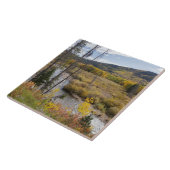 Provo River und Espen Fliese (Seite)