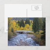 Provo River und Espen Postkarte (Vorne/Hinten)