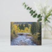 Provo River und Espen Postkarte (Stehend Vorderseite)