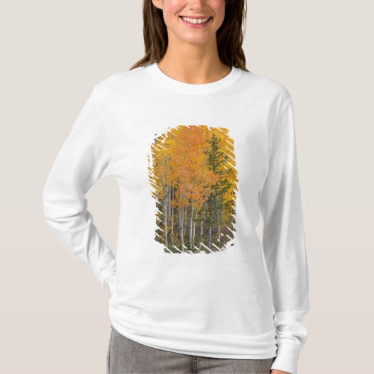 Provo- und Asphaltbäume T-Shirt (Vorderseite)
