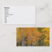 Provo- und Asphaltbäume Visitenkarte (Vorne/Hinten)