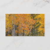 Provo- und Asphaltbäume Visitenkarte (Rückseite)