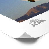 Provost Gallery Poster (Ecke)