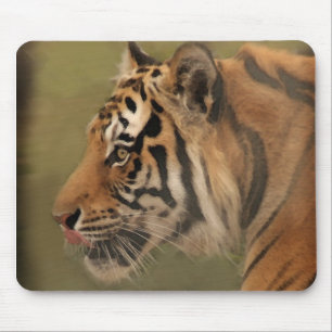 Prowl Mousepad
