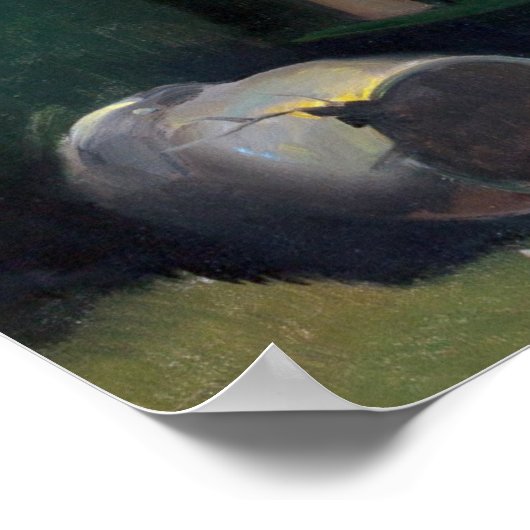 Prowler Button Up Poster (Ecke)