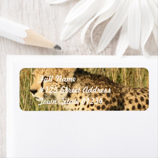 Prowling Cheetah Mailing Label (Insitu)
