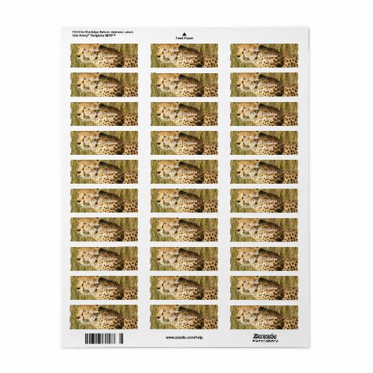 Prowling Cheetah Mailing Label (Vorne)