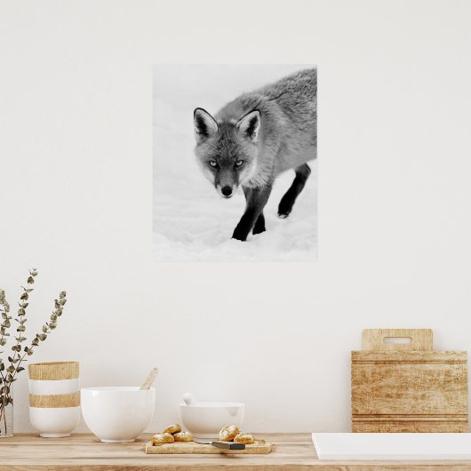 Prowling Fox Poster (Küche)