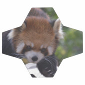 Prowling Red Panda Fußball (Flach)