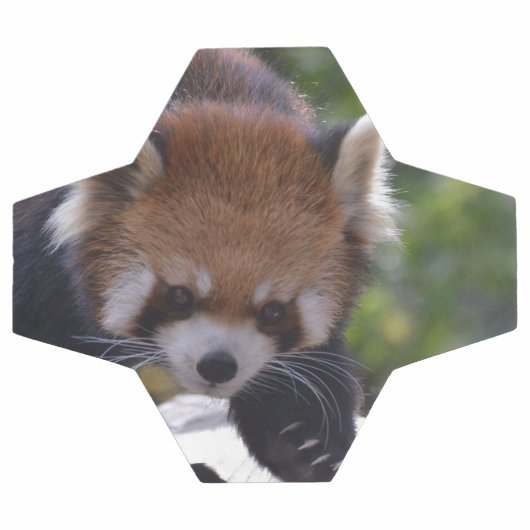 Prowling Red Panda Fußball (Flach)