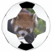 Prowling Red Panda Fußball (Vorderseite)