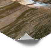 Prowling Tiger Portrait Fotografie Poster (Ecke)