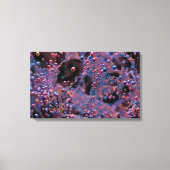 Proxima Leinwanddruck (Vorderseite)