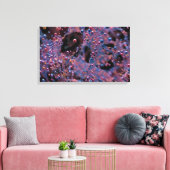 Proxima Leinwanddruck (Insitu (Wohnzimmer))