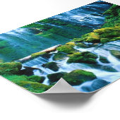 Proxy Falls, Oregon Poster (Ecke)