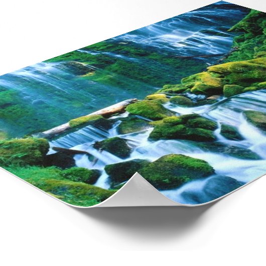 Proxy Falls, Oregon Poster (Ecke)