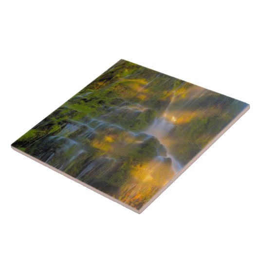 Proxy Falls Three Sisters Wilderness Oregon Fliese (Seite)