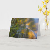 Proxy Falls Three Sisters Wilderness Oregon Karte (Gelbe Blume)