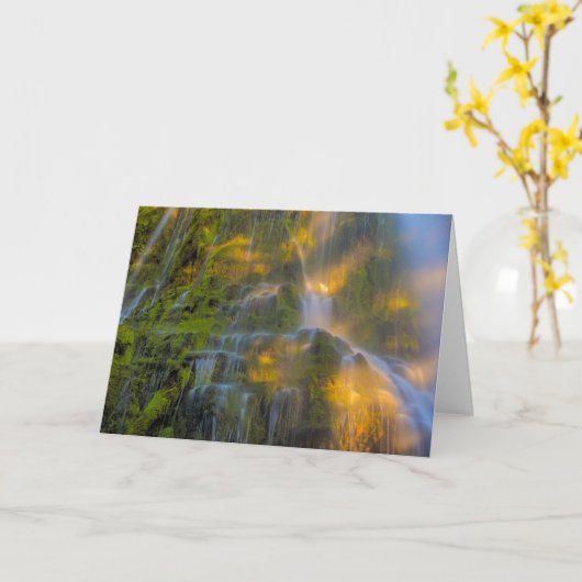 Proxy Falls Three Sisters Wilderness Oregon Karte (Gelbe Blume)