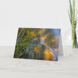 Proxy Falls Three Sisters Wilderness Oregon Karte