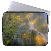 Proxy Falls Three Sisters Wilderness Oregon Laptopschutzhülle (Vorderseite)