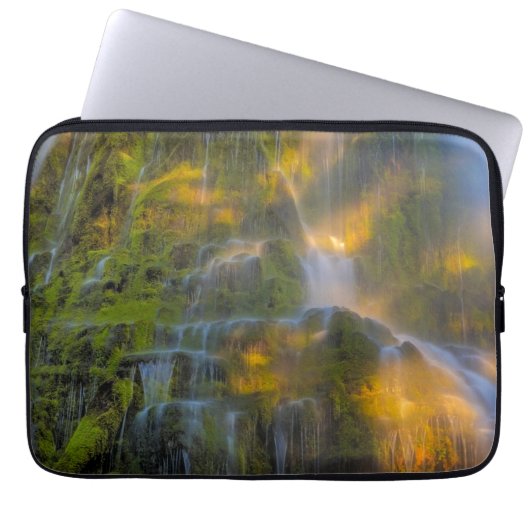 Proxy Falls Three Sisters Wilderness Oregon Laptopschutzhülle (Vorderseite)