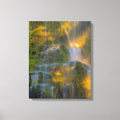 Proxy Falls Three Sisters Wilderness Oregon Leinwanddruck (Vorderseite)