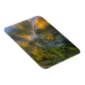 Proxy Falls Three Sisters Wilderness Oregon Magnet (Rechte Seite)