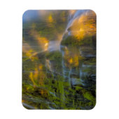 Proxy Falls Three Sisters Wilderness Oregon Magnet (Vertikal)