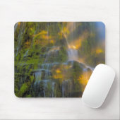 Proxy Falls Three Sisters Wilderness Oregon Mousepad (Mit Mouse)