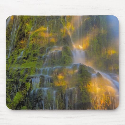Proxy Falls Three Sisters Wilderness Oregon Mousepad (Vorne)