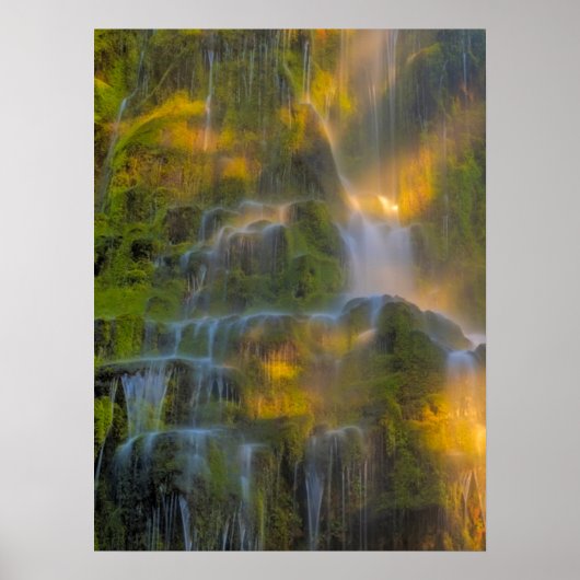 Proxy Falls Three Sisters Wilderness Oregon Poster (Vorne)