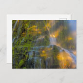 Proxy Falls Three Sisters Wilderness Oregon Postkarte (Vorne/Hinten)