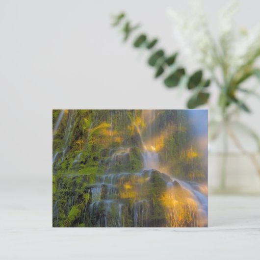 Proxy Falls Three Sisters Wilderness Oregon Postkarte (Stehend Vorderseite)