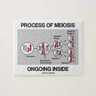 Prozess des Verkleinerungs-laufenden Inneres Puzzle