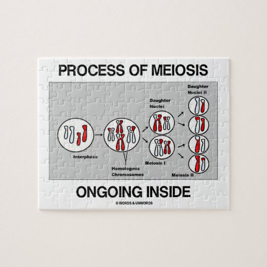 Prozess des Verkleinerungs-laufenden Inneres Puzzle (Horizontal)