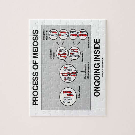 Prozess des Verkleinerungs-laufenden Inneres Puzzle (Vertikal)