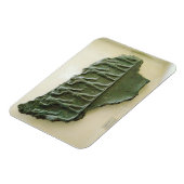 Prozession der Elamiter-Krieger, Susa, Iran, Elami Magnet (Linke Seite)