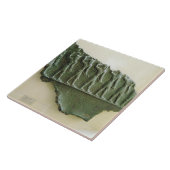 Prozession von Elamite Kriegern, Susa, der Iran, Fliese (Seite)