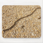 Prozessionsmaske Raupen Mousepad (Vorne)