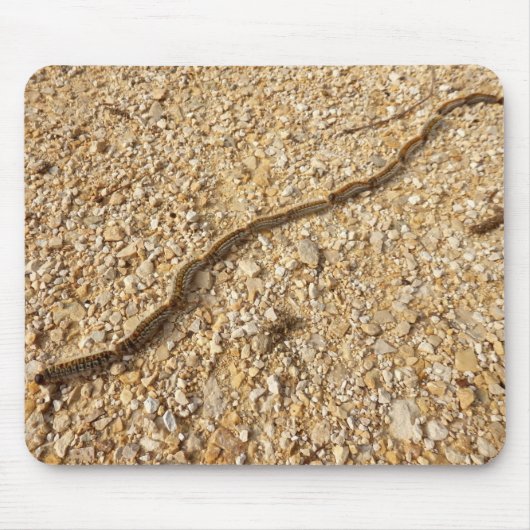 Prozessionsmaske Raupen Mousepad (Vorne)