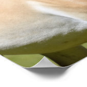 Prozewalski Poster (Ecke)