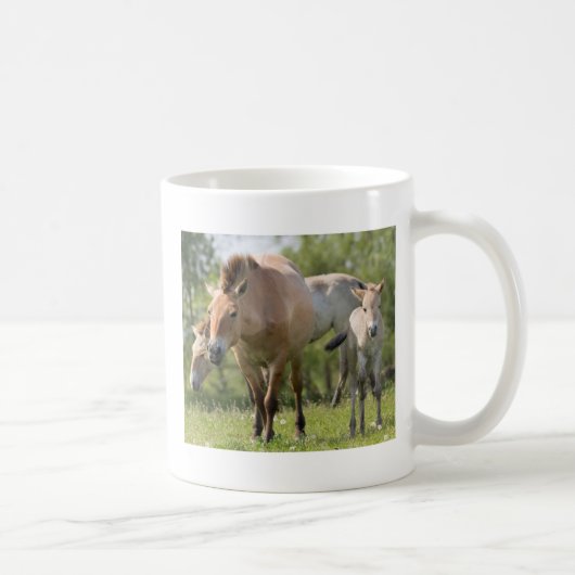 Prozewalskis Pferd- und Fohlenwandern Kaffeetasse (Rechts)