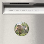 Prozewalskis Pferd- und Fohlenwandern Magnet (In Situ (Geschirrspüler))