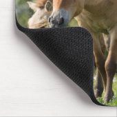 Prozewalskis Pferd- und Fohlenwandern Mousepad (Ecke)