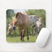 Prozewalskis Pferd- und Fohlenwandern Mousepad (Mit Mouse)